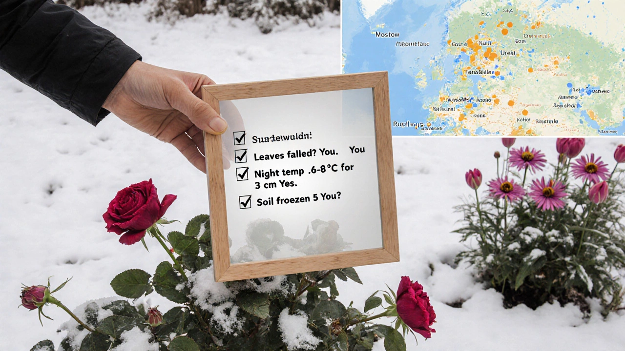 Рука с деревянным каркасом над розой, рядом — прозрачный чек-лист и естественный снег над тюльпанами.